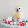 Plush Bean Skin Sushi Sound Toy with Hidden Snack Design