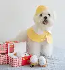 Plush Bean Skin Sushi Sound Toy with Hidden Snack Design